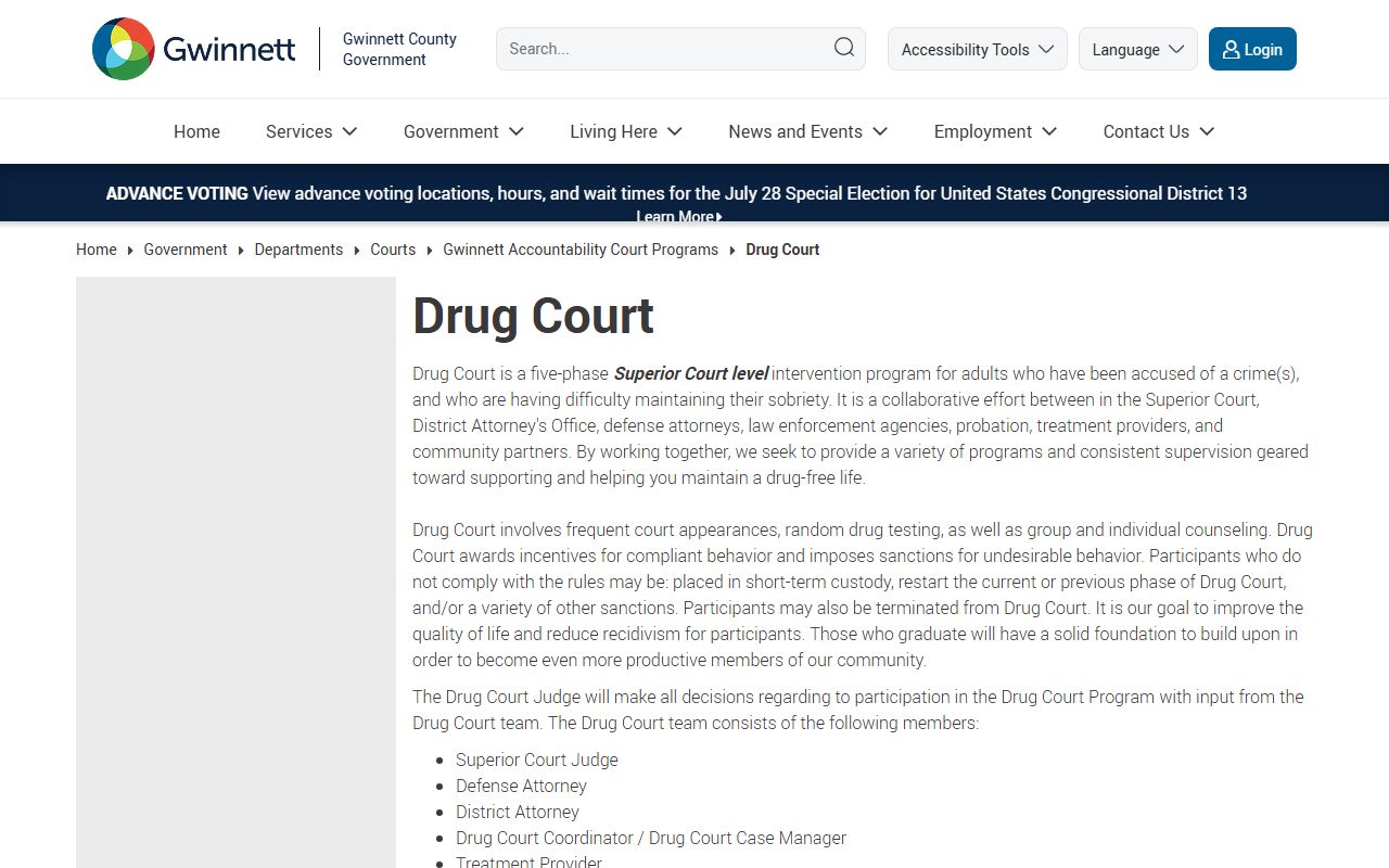 Gwinnett County arrest records and court charges Drug Court program